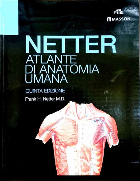 Atlante Di Neuroscienze Di Netter Pdf Atlas Atlante Di Neuroscienze Di Netter Pdf Atlas