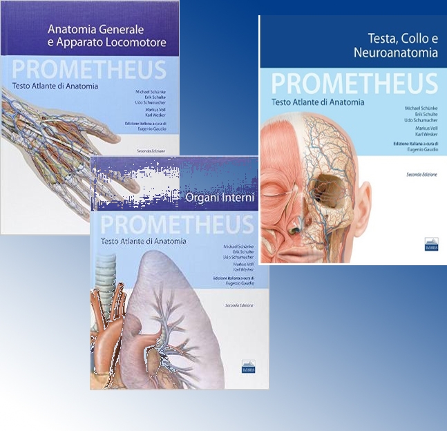 Prometheus. Testo-atlante di anatomia umana. Kit dei 3 volumi
